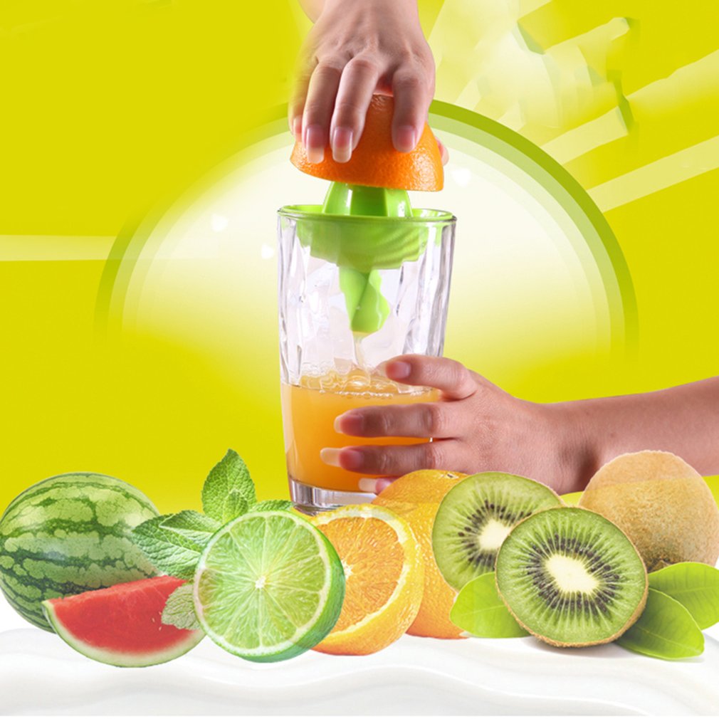 Travel fruit juicer