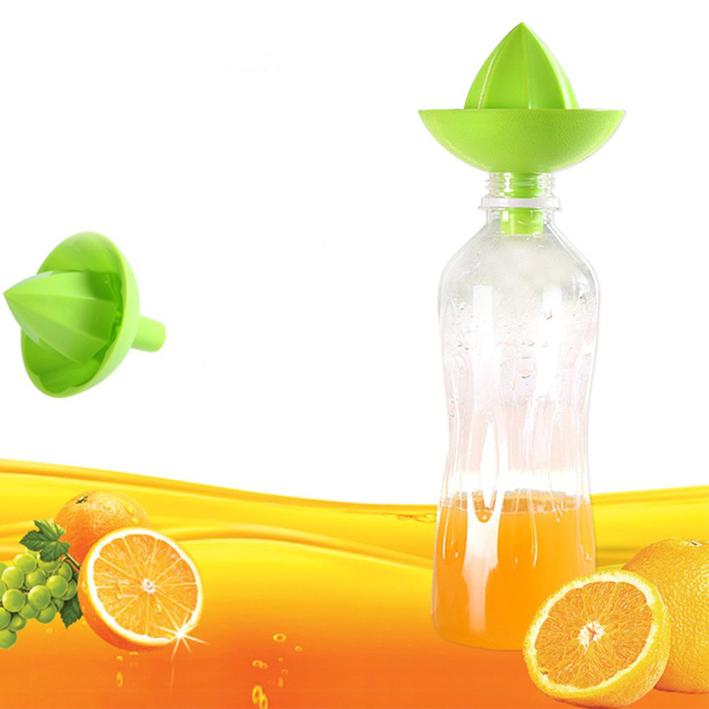 Travel fruit juicer