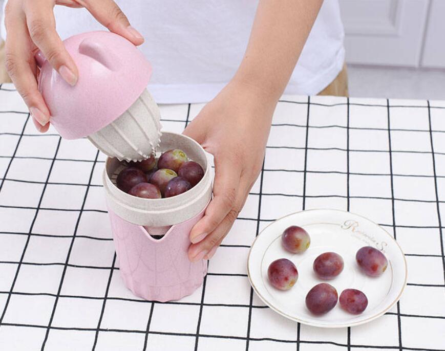 Orange juice squeezer fruit juicer