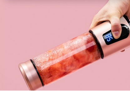 Portable multi-function fruit juicer
