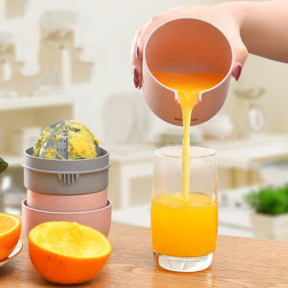 Simple Manual Juicer Small And Portable