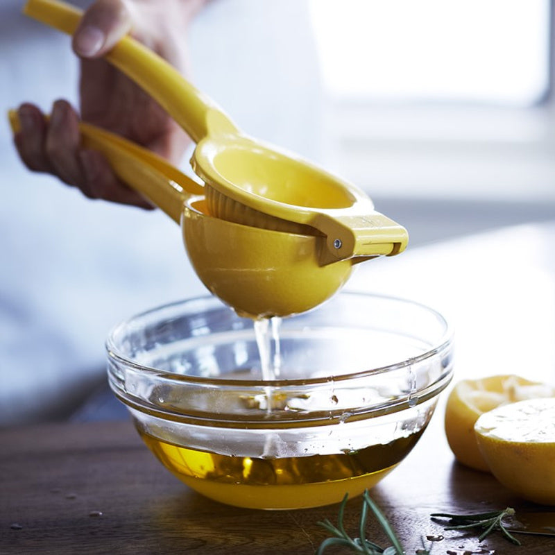 Lemon manual juicer