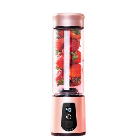 Portable multi-function fruit juicer