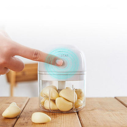 Mini multi-function electric garlic masher