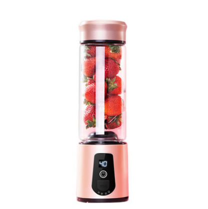 Portable multi-function fruit juicer