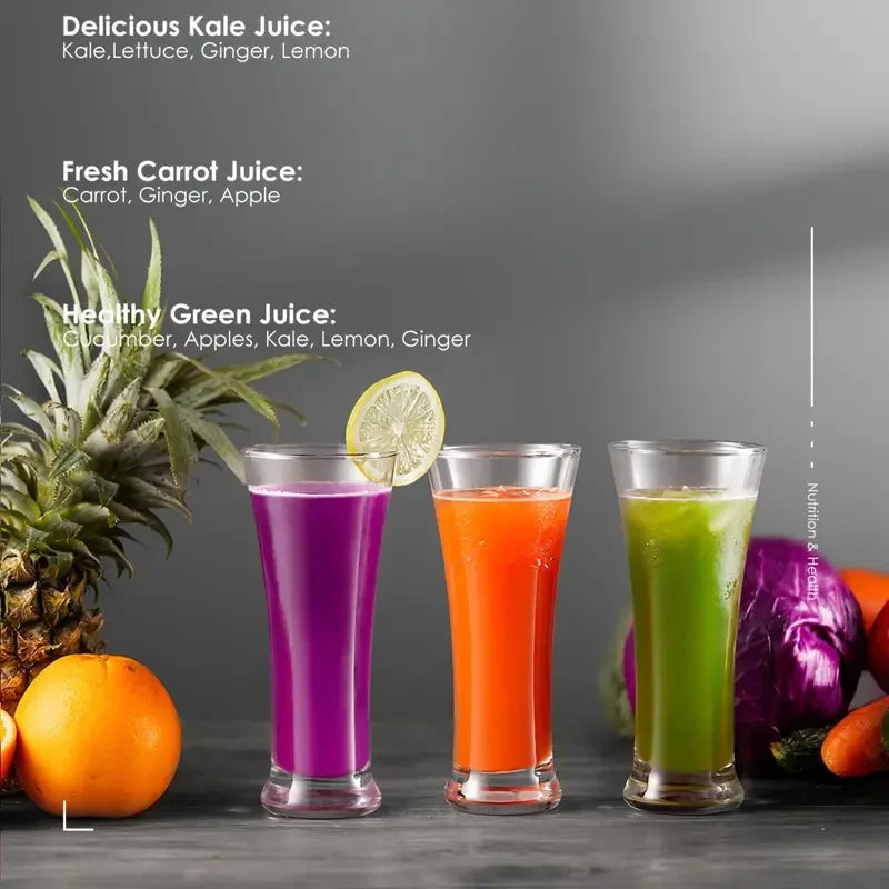 Versatile 3-Inch Wide Mouth Juicer Machine
