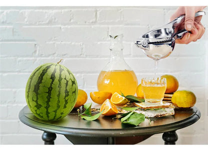 Manual Lemon Squeezer Zinc Alloy Citrus Press Heavy Duty