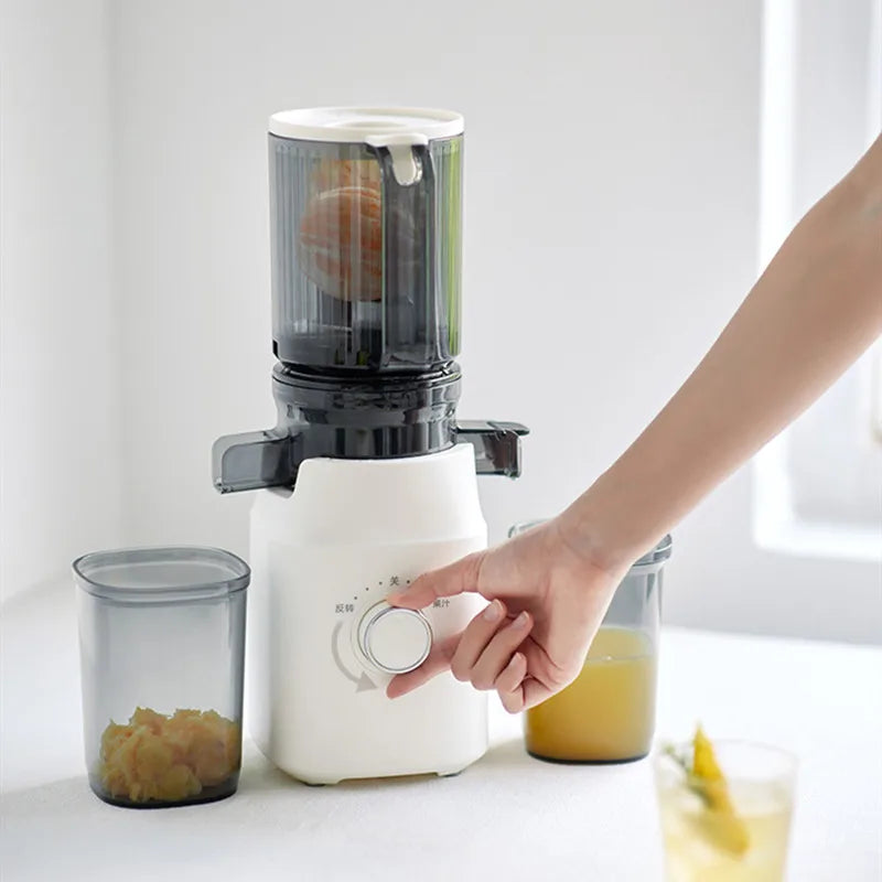 Large-Caliber Juicer Automatic Juicer Low-Speed Slag Juice