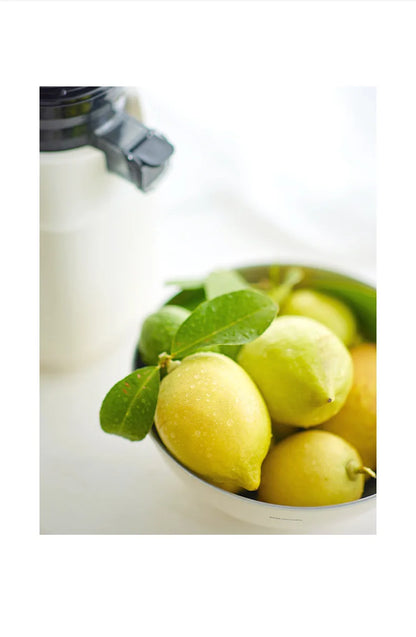 Large-Caliber Juicer Automatic Juicer Low-Speed Slag Juice