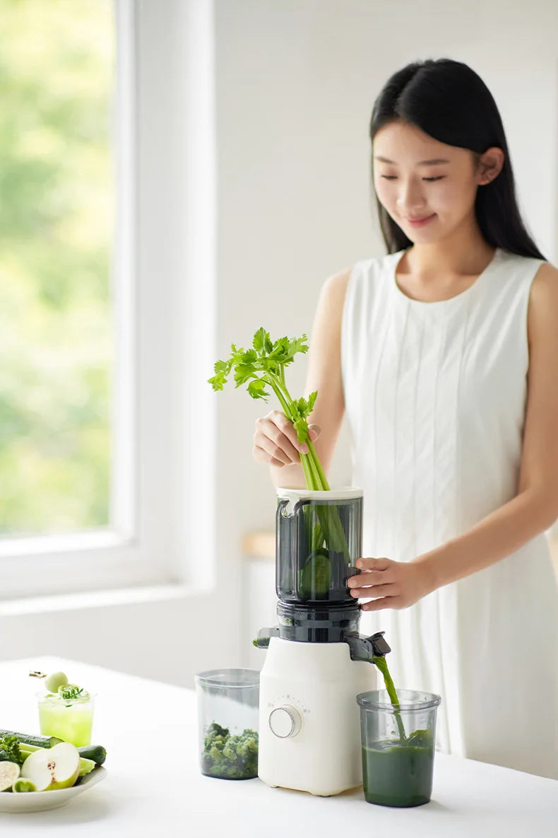 Large-Caliber Juicer Automatic Juicer Low-Speed Slag Juice