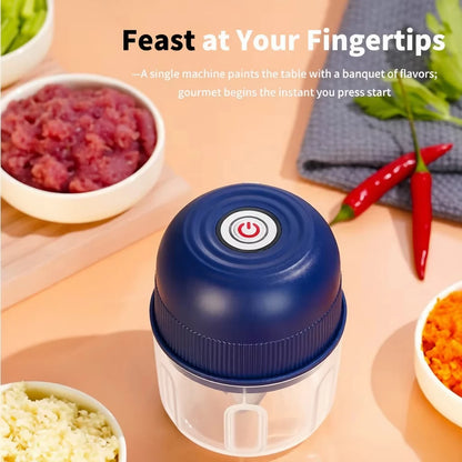 Vegetable, Chili Grinder, Kitchen Blender