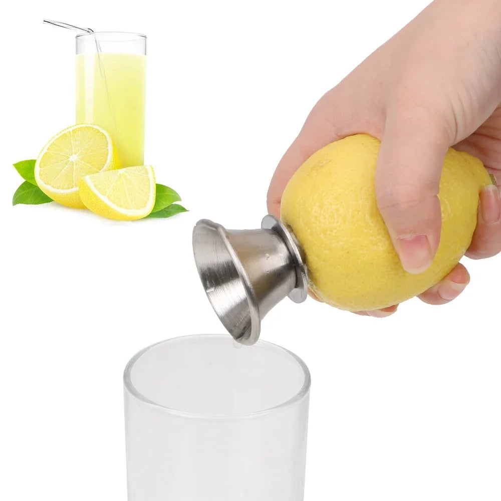 Hand Juicer Pourer Screw Stainless Steel
