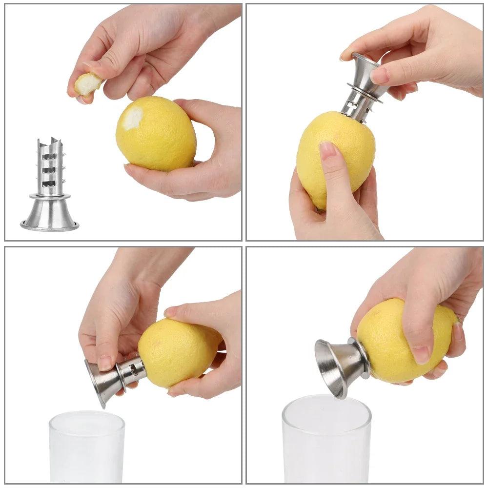 Hand Juicer Pourer Screw Stainless Steel