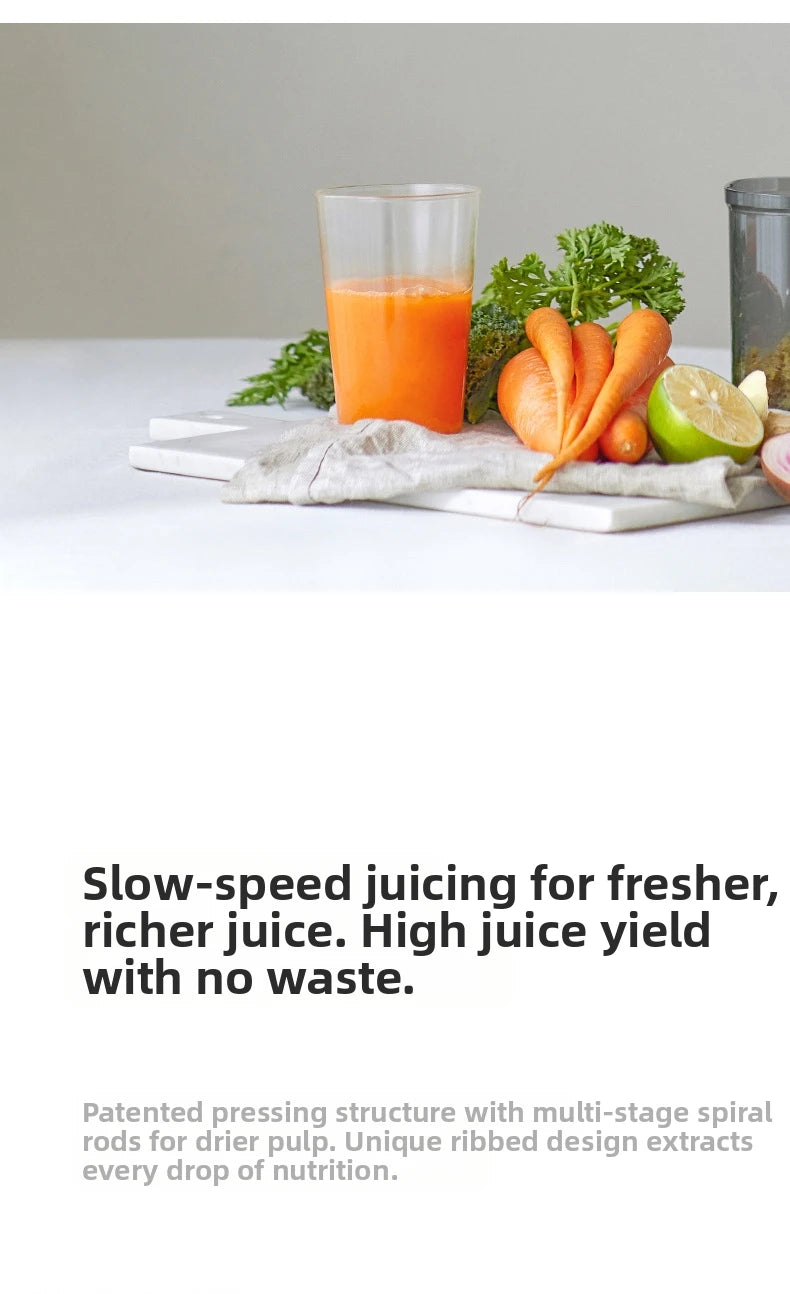 Large-Caliber Juicer Automatic Juicer Low-Speed Slag Juice