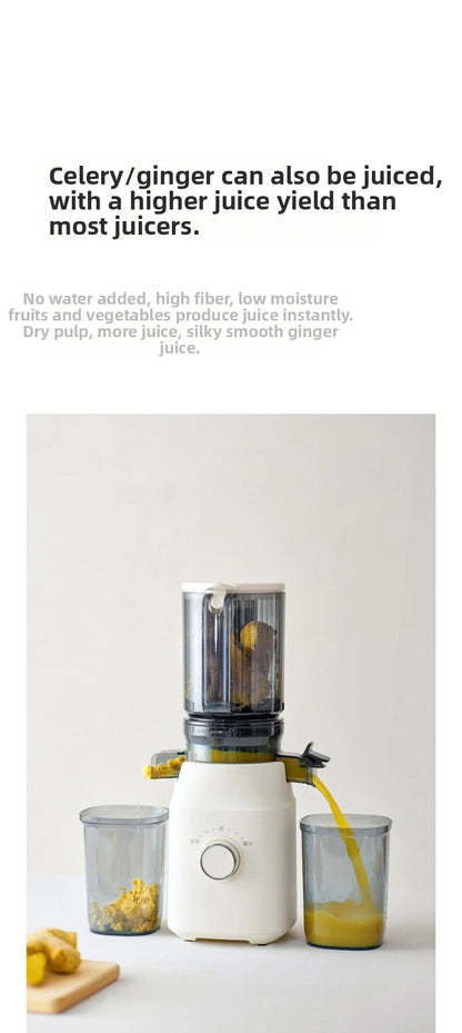 Large-Caliber Juicer Automatic Juicer Low-Speed Slag Juice