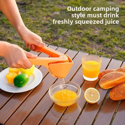 Easy to Use Manual Juicer with Lever