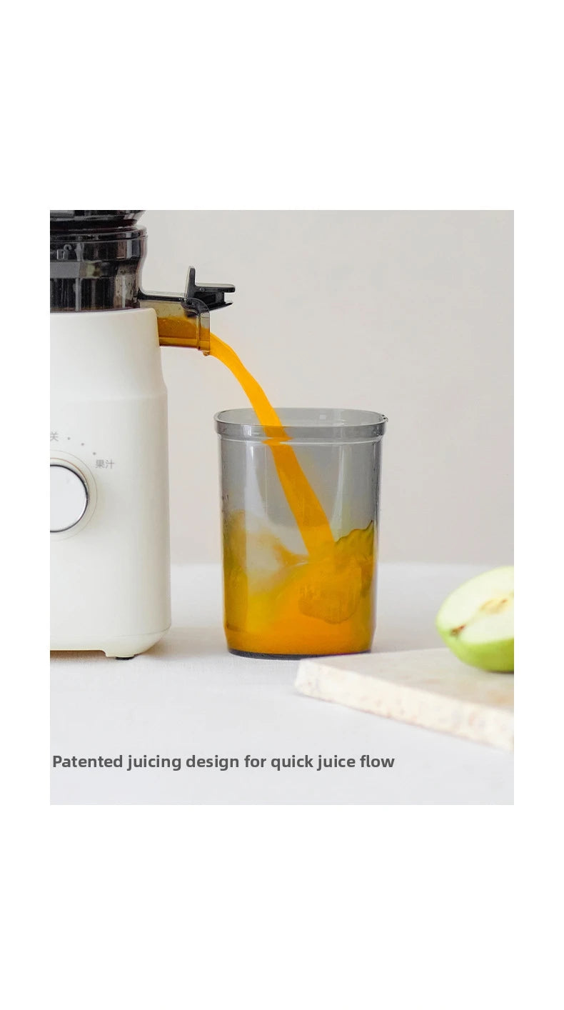 Large-Caliber Juicer Automatic Juicer Low-Speed Slag Juice