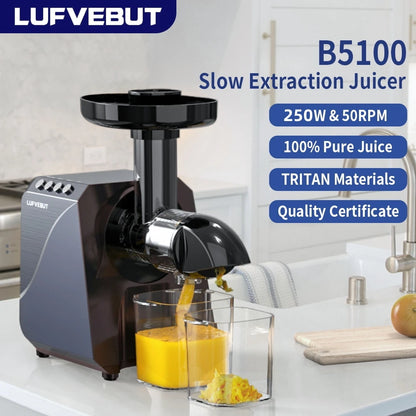 LUFVEBUT Slow Juicer Vegetables And Fruits Electric