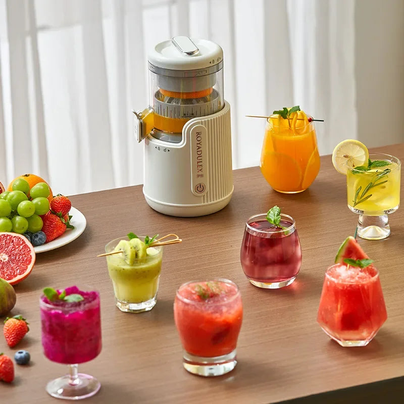 Large-Diameter Orange Juicer Juice And Pulp Separator