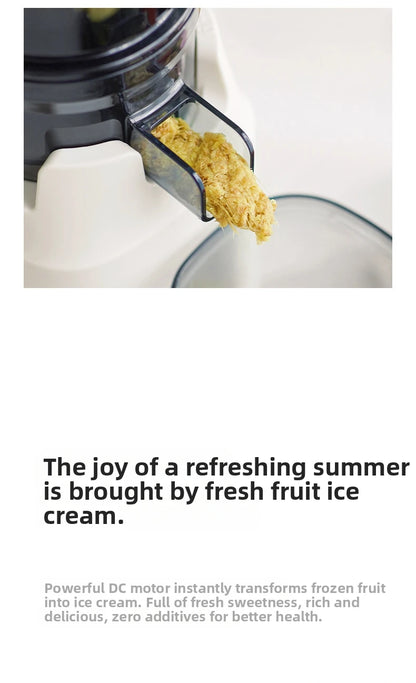 Large-Caliber Juicer Automatic Juicer Low-Speed Slag Juice