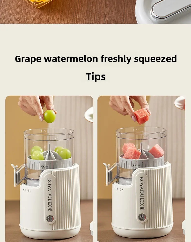 Large-Diameter Orange Juicer Juice And Pulp Separator