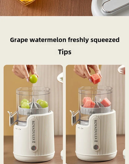 Large-Diameter Orange Juicer Juice And Pulp Separator