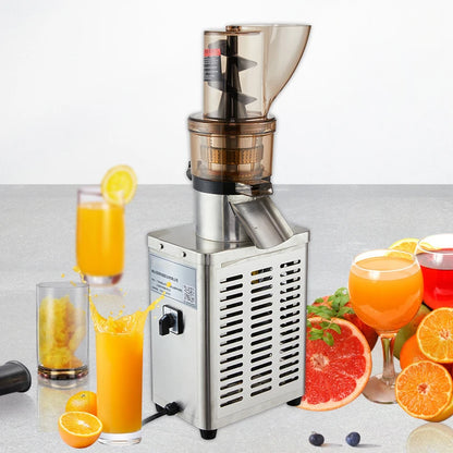750W High-Capacity Juicer Ginger & Vegetable Juicing Pure
