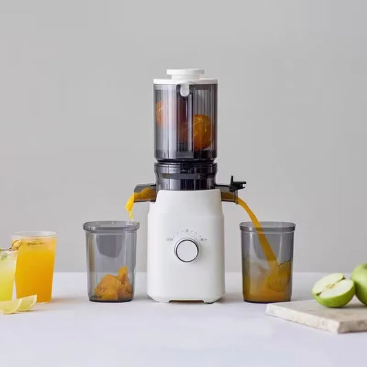 Large-Caliber Juicer Automatic Juicer Low-Speed Slag Juice