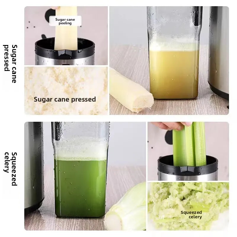 Juicer Machine, 1250W High-Speed Blender for Fruits/Vegetables,