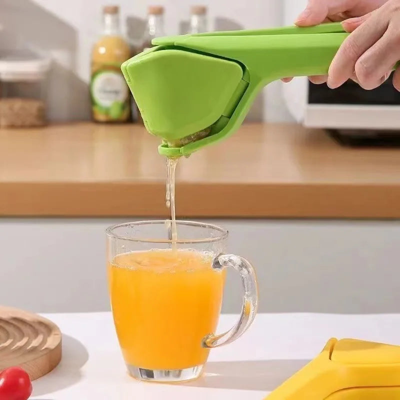 Easy to Use Manual Juicer with Lever