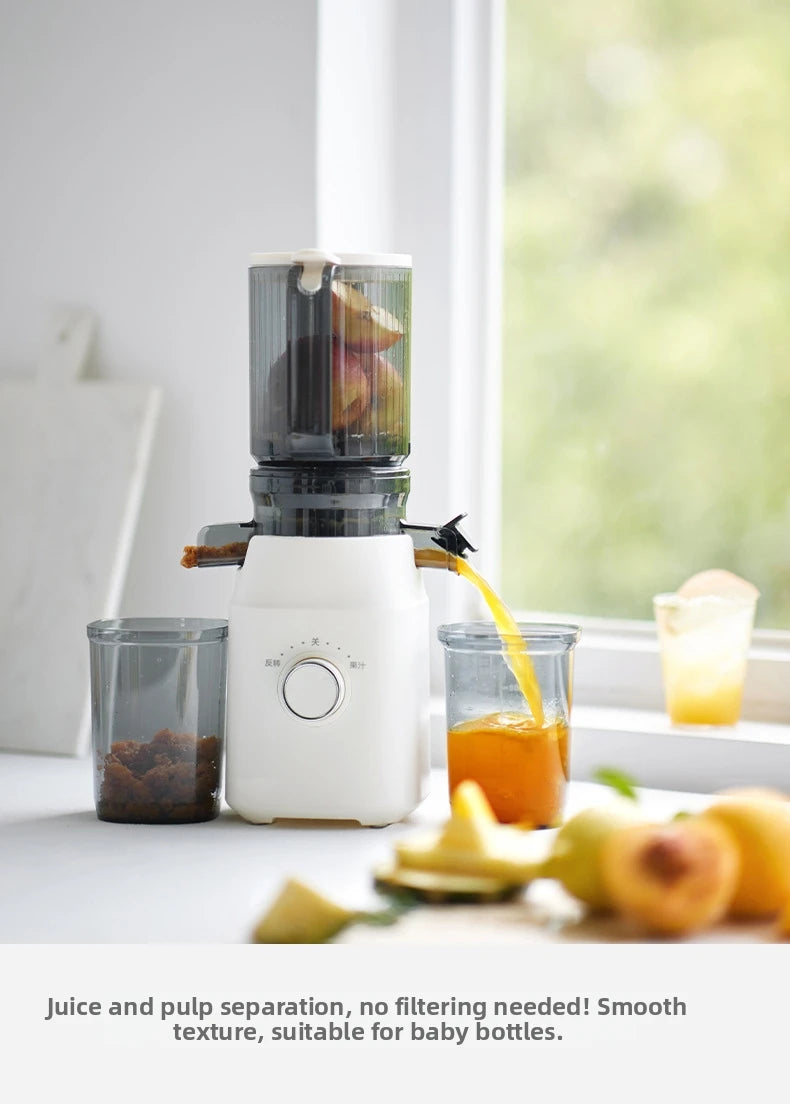 Large-Caliber Juicer Automatic Juicer Low-Speed Slag Juice
