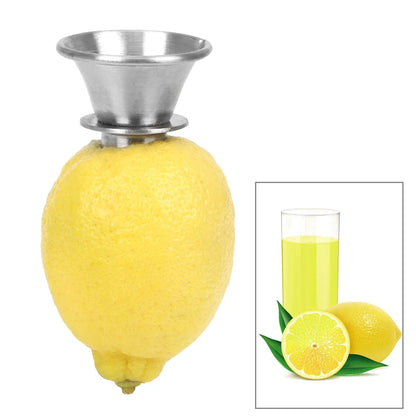 Hand Juicer Pourer Screw Stainless Steel