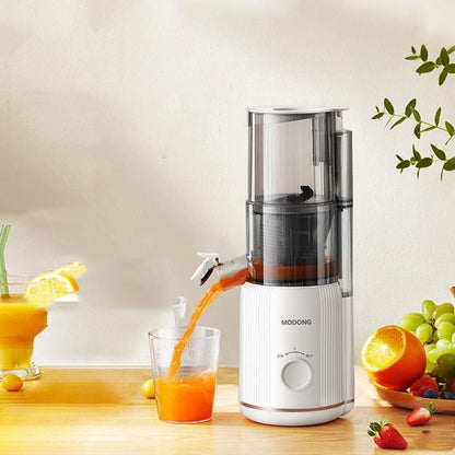 Juicer Juice Residue Separation Household Multi-function