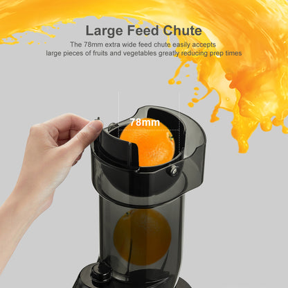 Household Electric Large Diameter Slow Juicer