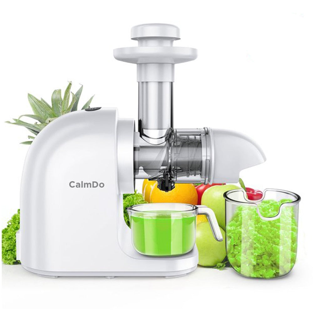 Slow Masticating Auger Juicer Fruit and Vegetable