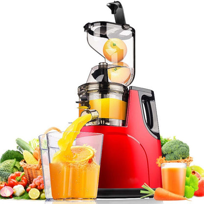 low speed Large Wide Mouth Feeding Chute Juicer