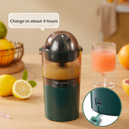 250ML Electric Juicer Blender Portable Fruit Extractor