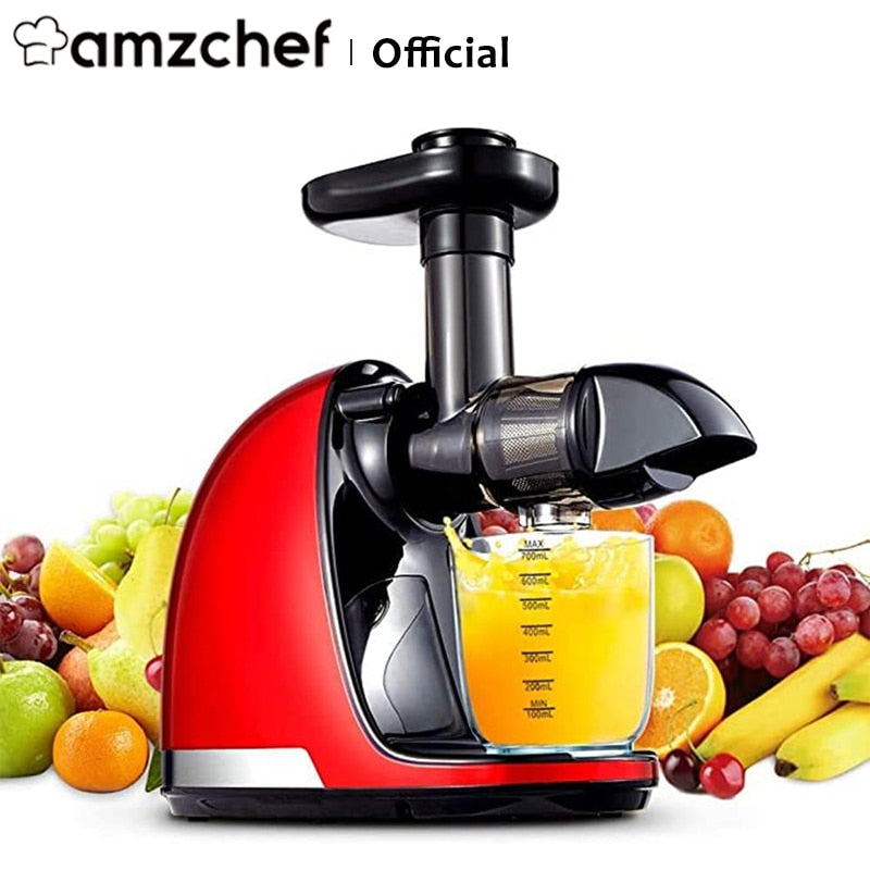 Quiet Motor Reversing Function Slow Juicer Fruits Reversing Function Slow Juicer