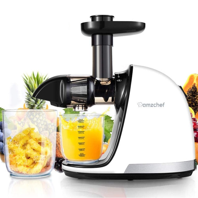 Quiet Motor Reversing Function Slow Juicer Fruits Reversing Function Slow Juicer